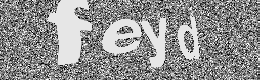 Verification image